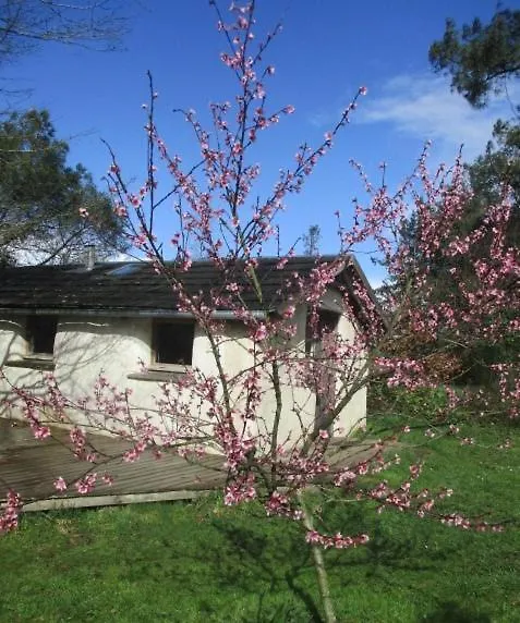 Maisonnette Ecologique Isolee En Botte De Paille Ploërmel Apartman